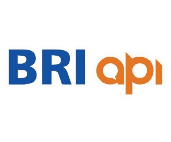 BRIAPI, Lembaga Keuangan Mikro di Indonesia yang Go Digital